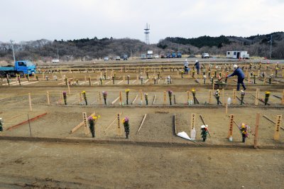 東松島市（4月25日撮影）