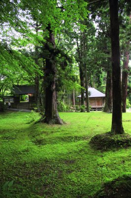 平泉・中尊寺本堂に続く表参道周辺