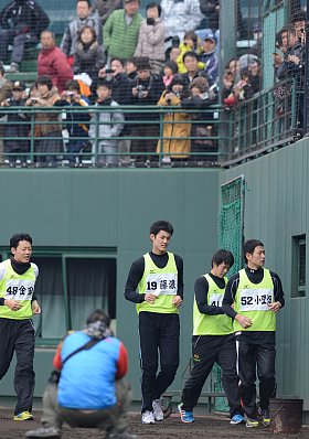 新人のなかでもひときわ長身の阪神・藤浪晋太郎（中央）