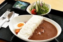 京都の道の駅「スプリングスひよし」名物、ダムカレー