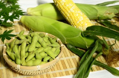 「朝採れ野菜」の美味しい食べ方は