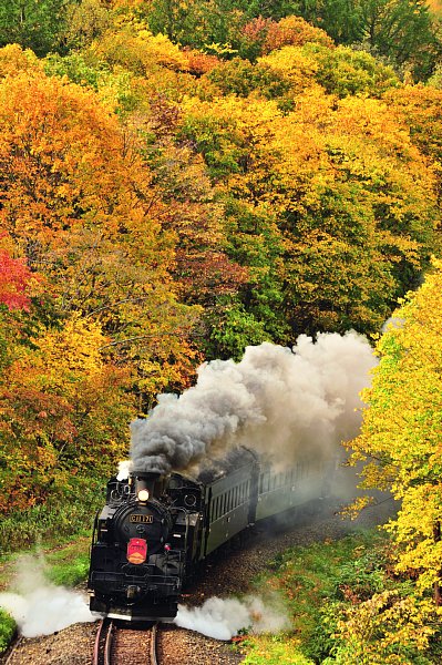 絶景の紅葉と鉄道のコラボ 鉄道写真家が注目ポイントを解説｜NEWSポストセブン