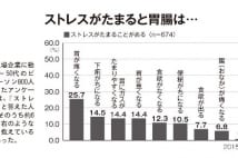 異常がないのに胃が辛い　もたれ感を改善する方法を医師解説