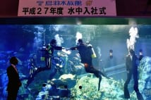 鳥羽水族館の水中入社式　観客や魚に祝福されながら辞令受取