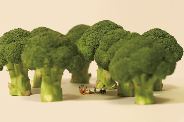 マツコ絶賛の写真集『MINIATURE LIFE』（水曜社刊）