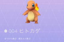 図鑑コンプに役立つ　レアポケモン出没エリアはここだ！