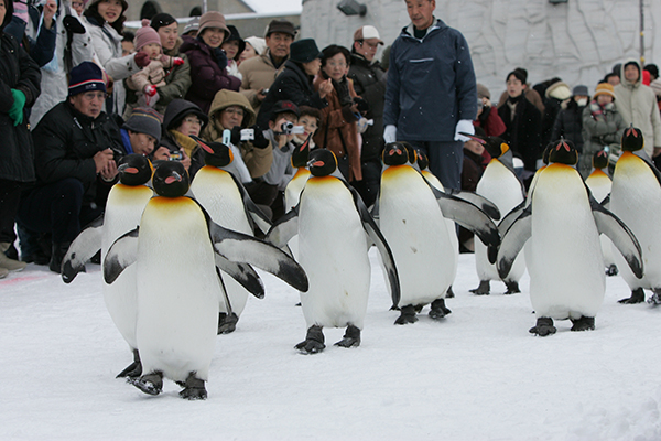 2006年12月、旭山動物園“全盛期”の様子