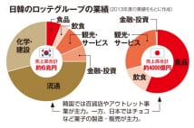 韓国ロッテ　「親日隠すため」壁面に巨大な太極旗掲げる