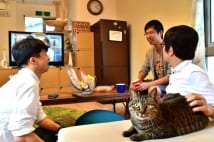 シェアハウスの管理人猫　「ロマンスは滅多にないよ」