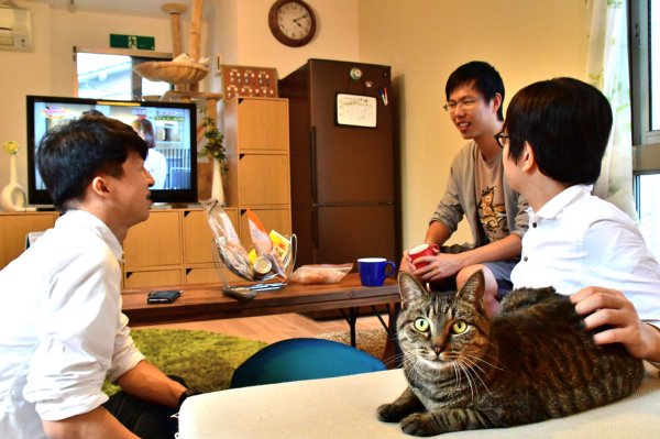 住人のゴミ出しに目を光らせる管理人猫の「ニャロス」