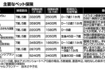 高額な医療費を賄うためのペットの健康保険が今は充実