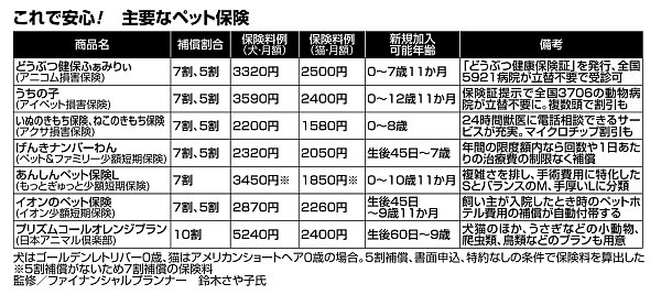 これで安心！主要なペット保険