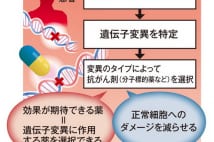 末期がん患者に劇的効果のPM　余命宣告を覆す治療実績