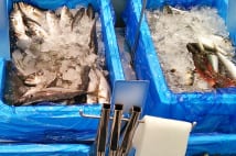 「スーパーで氷水につけてある青魚は新鮮！」の間違い