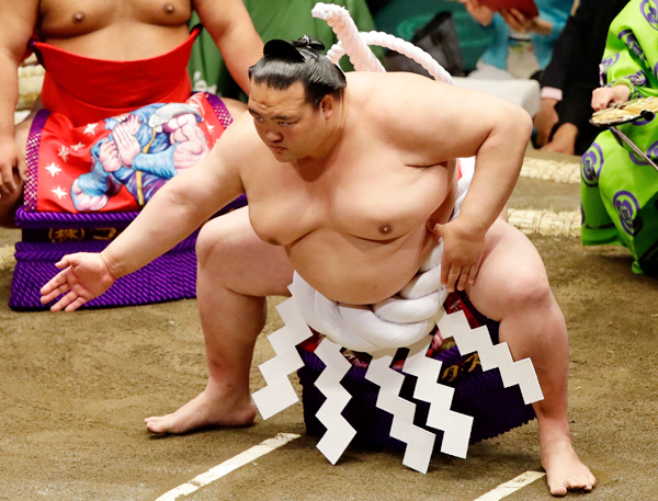 稀勢の里人気でチケットはプレミア化