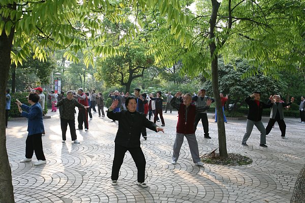 中国で太極拳名人が次々失態 武道ではない と批判も Newsポストセブン