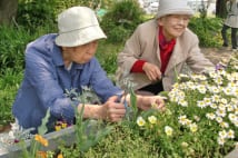 植物を育てる介護予防の“園芸療法”、収穫し食べることが大事