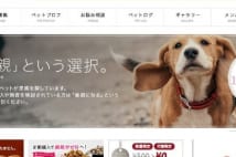 愛犬と暮らす家族が要介護になったら犬はどうなるか Newsポストセブン