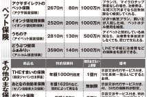 ペット保険、組み合わせで支払い限度額が1億円～無制限も