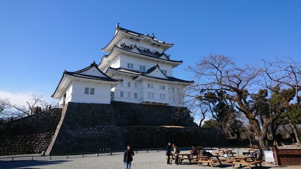 遅咲きの北条早雲、小田原城主となったのは60代