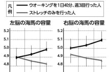 認知症予防には歩こう　加齢で縮小する海馬に影響与える