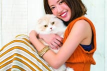 愛猫家の舟山久美子、リビングに壁一面に「猫タワー」を特注