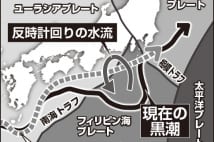 相模湾でアジが例年の1/5に激減、巨大地震の前兆か？