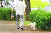 定年後は趣味をお金に　犬の散歩代行や施設での手品ショーなど