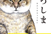 猫漫画『俺、つしま』の魅力を「猫本の聖地」スタッフが語る