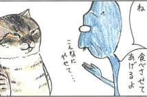 猫絵本『ネコヅメのよる』作者が語る猫漫画『俺、つしま』