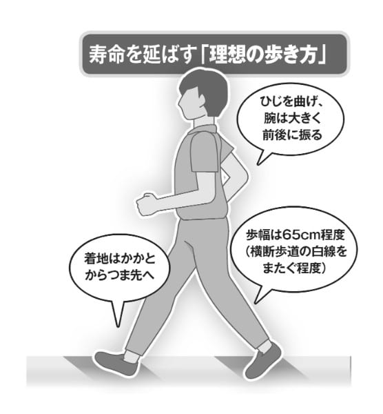 寿命を伸ばす理想の歩き方