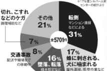 定年後アルバイトの事故は年5700件　転倒、刺される、噛まれる…