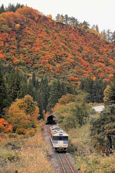 小川さんが最近撮影した、紅葉の只見線写真