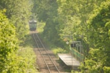 北海道　JR北海道　札沼線。まもなく幕を閉じる緑に包まれた秘境駅