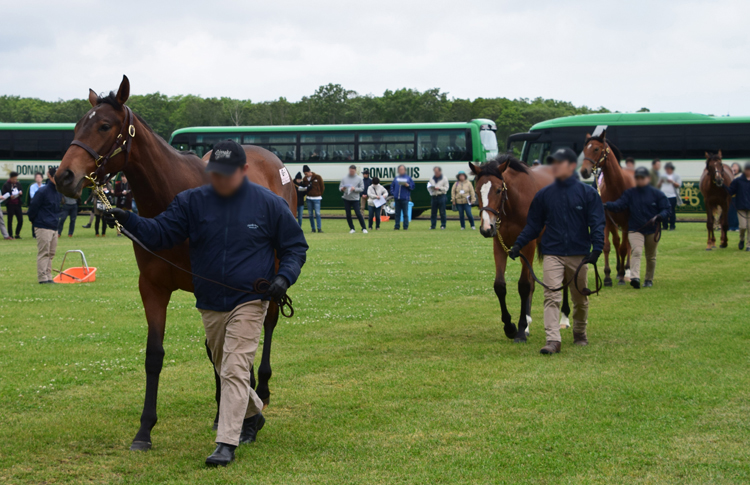 全国で会員約5万人 一口馬主 クラブ馬主 の楽しさ Newsポストセブン