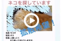 【動画】猫50匹殺し　52歳男の自宅に猫捕獲器とセーラー服