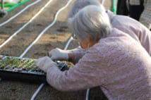 要介護でも働ける「仕事付き高齢者住宅」、収穫野菜200袋が完売も