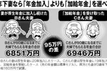 厚生年金の加入歴が20年と19年の妻　加給年金で117万円の差