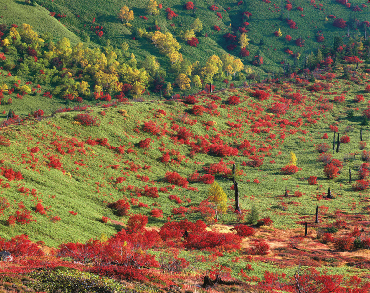 1996年10月5日　群馬県・草津白根山　噴火警戒レベル2のため、山頂の湯釜を中心に半径1km圏内は通行規制中。