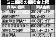 かゆいところに手が届くニッチでユニーク「ミニ保険」が人気