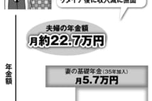 年上妻を持つ夫　3つのパターンで見る「年金を増やすポイント」