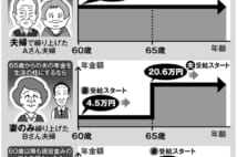 年金改正　妻の働き方とライフスタイルで変わる受給パターン