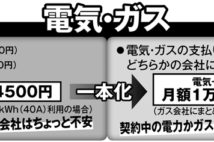 電気・ガス料金の見直し　どちらかに一本化で年間8000円の節約も