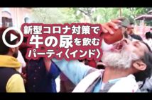 【動画】新型コロナ対策で牛の尿を飲むパーティ〈インド〉