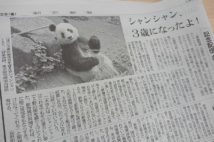 シャンシャンとしてシンシンが掲載された朝日新聞の紙面