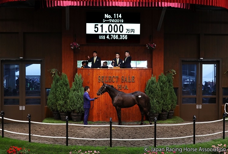 盛況セレクトセール 大物馬主は 堅実な実績 に賭けた印象 Newsポストセブン