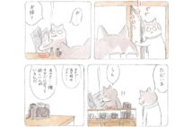 猫とビールが楽しめる本屋の店主が語る漫画『トラとミケ』