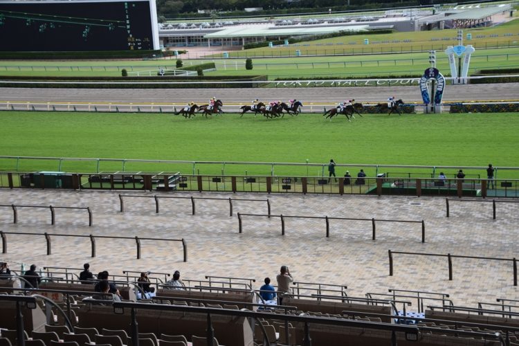 東京競馬場