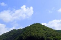 私も山を買いたい！　登記や隣接地との境界など気をつけるべき点は？