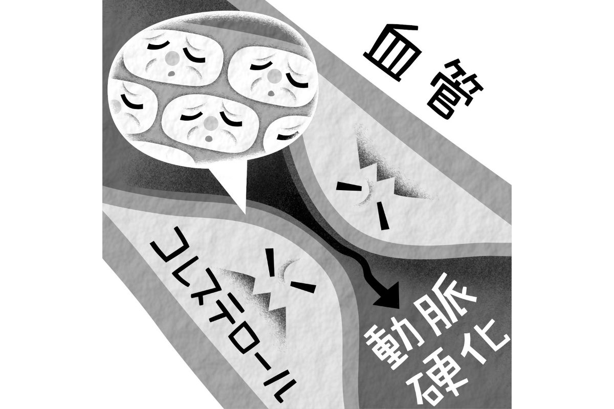 様々な病気に関わる 老化細胞 を除去するワクチンが開発中 Newsポストセブン